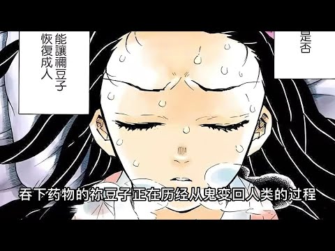 一口氣看完鬼滅之刃（無限城決戰）1- 70集