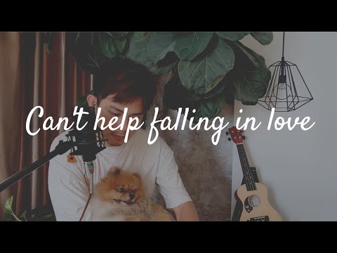 cover song  🎵 《can't help falling in love with you 》