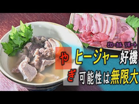 沖縄ヤギの可能性は無限大　臭わない！ヒージャー好機　ケンミンショーでも話題に　いい肉の日SP　【どローカルリポート】