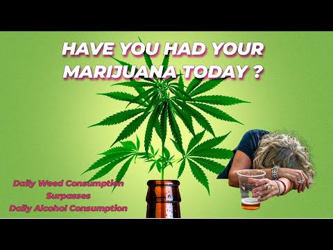 Have you had your Cannabis Today?