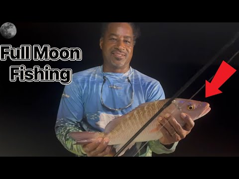 Full Moon Fishing Trip