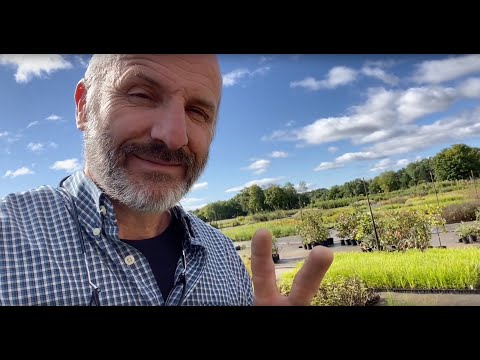 A visit to New England Wetland Plants!￼