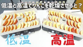 [乾燥テスト]低温と高温でりんごを乾燥させると？（ドラミニ）