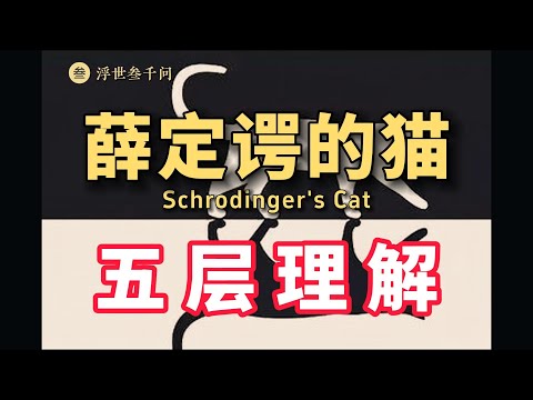 【量子力學篇-17期】薛定谔的貓的五層理解，看看妳在第幾層？