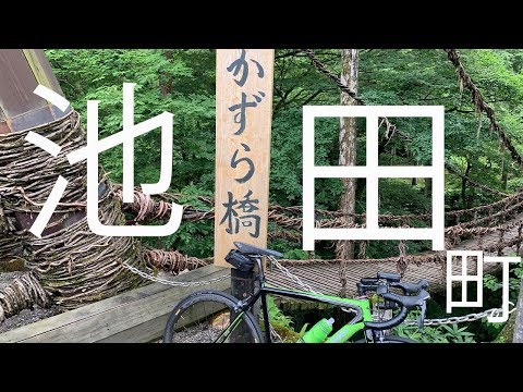 福井県のかずら橋を見に行くライド【池田町】