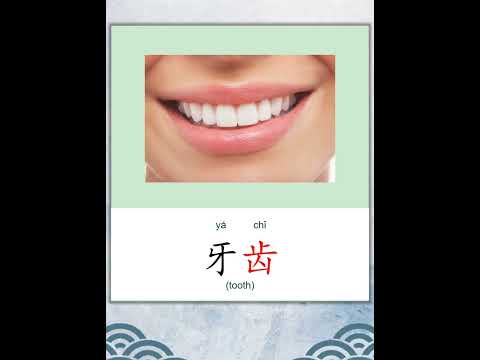 学中文 | 汉字 | Learn Chinese | Chinese Character | 齿