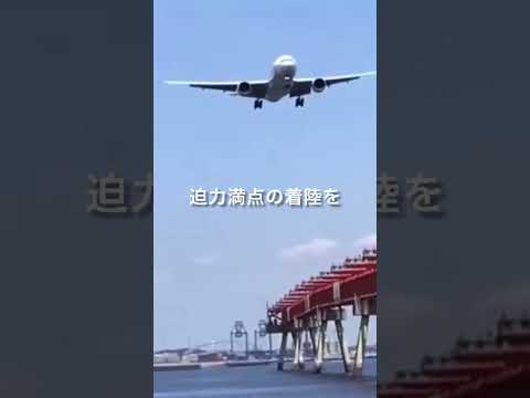 羽田空港の砂浜