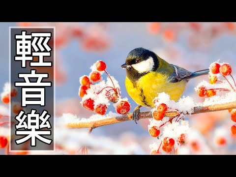 【非常好听】🎷🎷週末聽50首最好的老音樂 🌺早上最適合聽的輕音樂 🎵 每天調心洗滌心性 - 薩克斯風 - 無廣告音樂  - 轻音乐 - 探戈老歌 Old Taiwanese Music