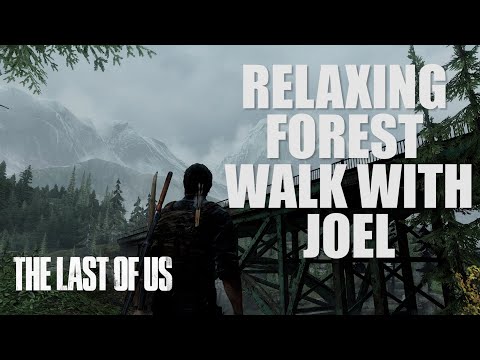 relaxing forest walk with JOEL | ambiance with Last of Us music 🎶 | (Relax | Focus | Study | Sleep)