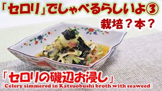 【　セロリの磯辺お浸し　】旬野菜の「セロリ」でしゃべるらしいよ③（セロリの栽培？本？について。）