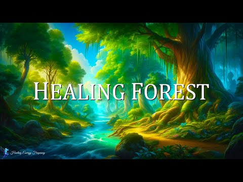 Healing Forest Ambience | 396Hz + 528Hz + 741Hz - Miracle Tone Healing | Cleaning Energy Meditati...