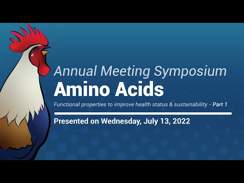 Functional properties of amino acids improve health status and sustainability (Part 1/2)