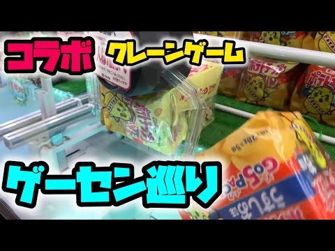 【コラボ】いちねこ達とクレーンゲームコラボしてみた！自宅ゲームコーナーも