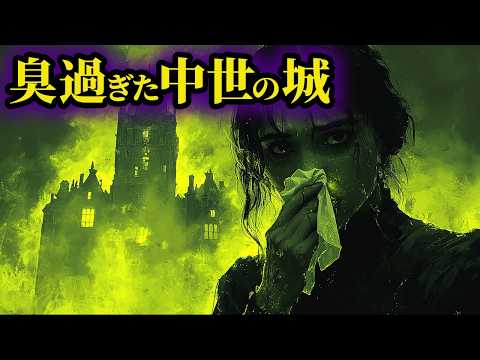 【悲惨】王も裸足で逃げ出すほど不潔だった中世ヨーロッパの城の真実【世界史】