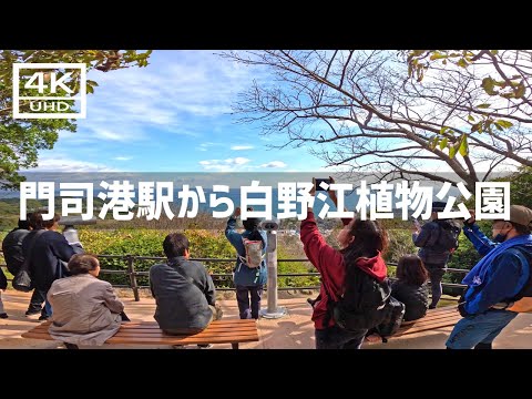 【2024年11月24日】JR門司港駅から白野江植物公園の紅葉まつりに行ってきた