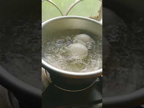 Boiled Egg #shorts #purloalokitchen #youtubeshort #short #shortvideo