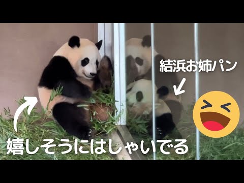 【速報】はしゃぐ楓浜が可愛すぎる😍結浜は冷静..😂扉越しに遊ぶパンダ姉妹🐼