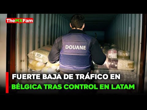 🔴NOTICIAS | EFECTIVIDAD EN LATINOAMÉRICA: MENOS DECOMISOS DE C0-C4-!NA EN BÉLGICA | TheMXFam