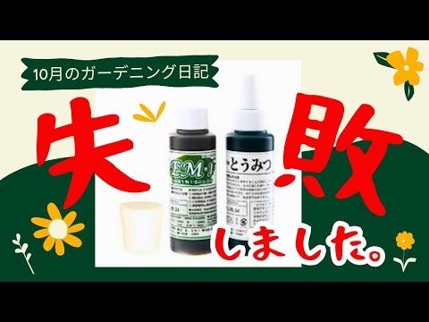 家庭菜園【食糧備蓄】EM入門できませんでした。