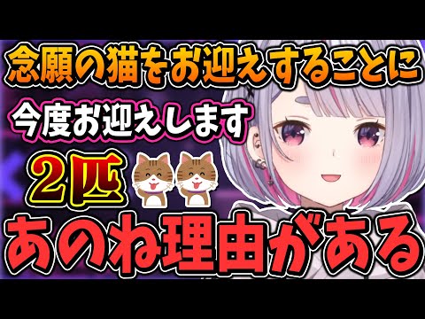 念願の猫をある理由で2匹お迎えすることになった兎咲ミミ【ぶいすぽ/切り抜き/ストグラ】