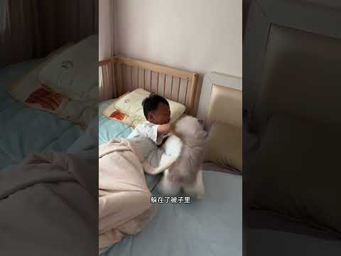 猫咪真的会给孩子撑腰吗… #猫和孩子