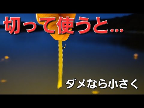 こうするだけで劇的変化！アジングで釣れない時の対策で尺アジを誘いだす&アジングリーダー問題