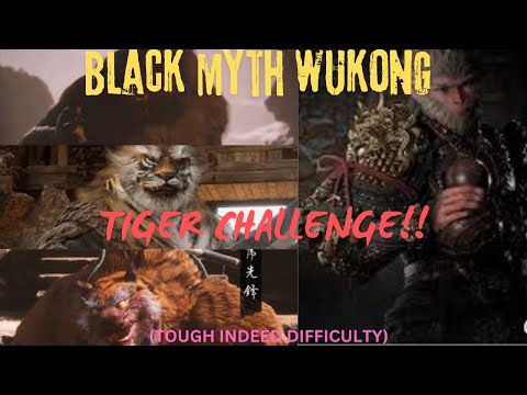 Black myth wukong tiger challenge 4k