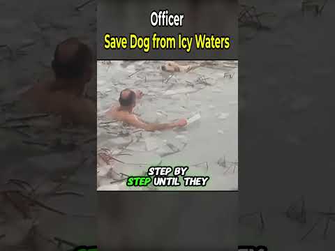 Officers Save Dog from Icy Waters