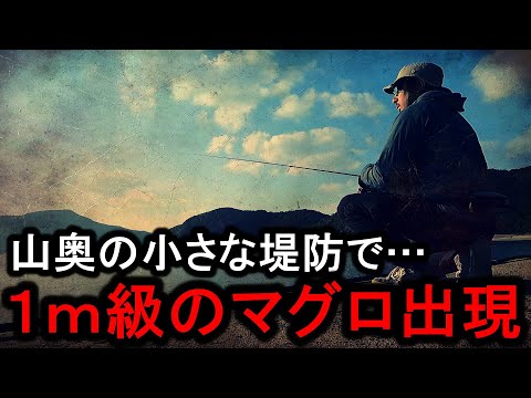 釣り人が誰も居ない山奥の小さな堤防で１ｍ級のマグロを掛けてしまいました