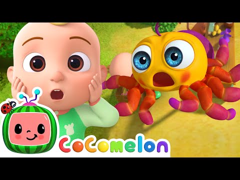 Itsy Bitsy Spider Climbed Up The Water Spout | CoComelon Animal Time