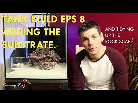 Adding substrate to a reef tank ep8