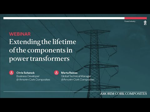 Extending the lifetime of components in Power Transformers | Amorim T&D Webinar