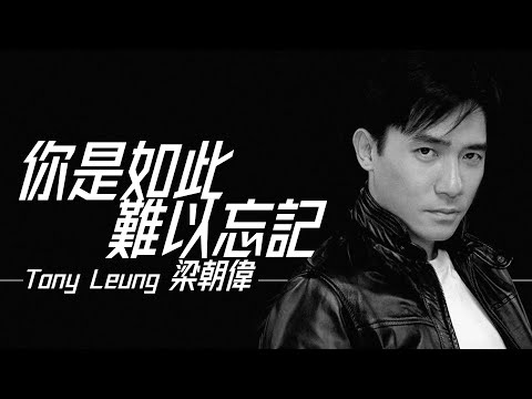 Tony Leung 梁朝偉 - 你是如此難以忘記【字幕歌詞】Chinese Pinyin Lyrics I 1993年《一天一點愛戀》專輯。