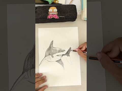 Drawing shark #drawing #speeddrawing #shark #desenho #tubarão #whitesharkocean #fanarts