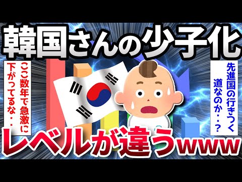 【2ch面白いスレ】【悲報】韓国の少子化、ちょっとレベルが違った模様【ゆっくり解説】