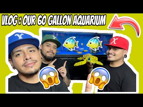 Vlog: How We Clean Our 60 Gallon Fish Tank & Adventure To The Pet Store With My Bfs  🐠