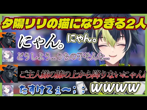 夕陽リリの猫になりきって怖がられる伊波ライとバーチャルゴリラ【伊波ライ/夕陽リリ/バーチャルゴリラ/v最協s6】