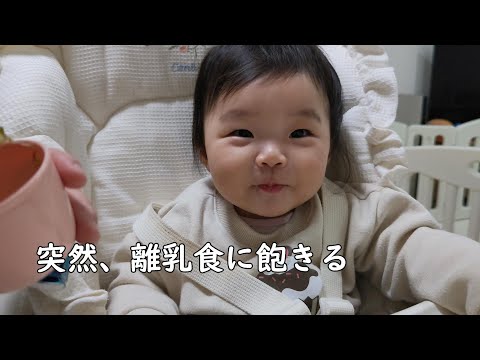 突然、離乳食に飽きた0歳児【291Days】