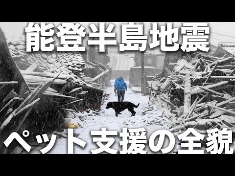 【全て見せます】大雪の大捜索！能登半島ペット支援の全貌