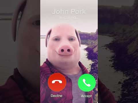 Are you going to pick up? #shorts #johnpork #memes