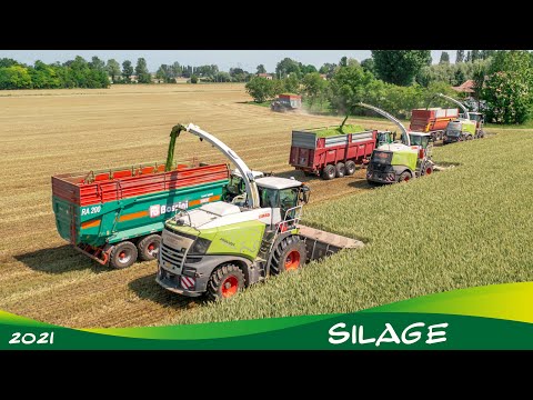 SILAGE SEASON 🌽 | Best of 2021 | AgroNord