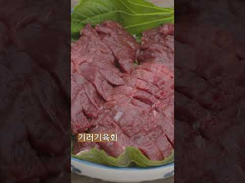 겨울진미, 기러기가 온다 [대케맛] / KBS 방송