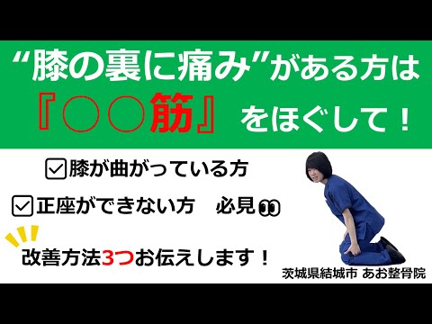 【自宅でトレーニング】膝裏が痛くなる原因と解消方法3選！｜茨城県結城市 あお整骨院