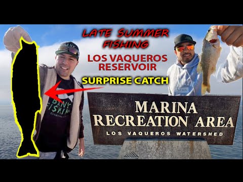 SURPRISE Catch At Los Vaqueros LATE Summer‼️#bayarea #fishing #fish #fun #new #bankfishing #video