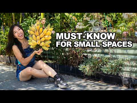 Banana Bonanza: Grow Your Own in Tiny Spaces!