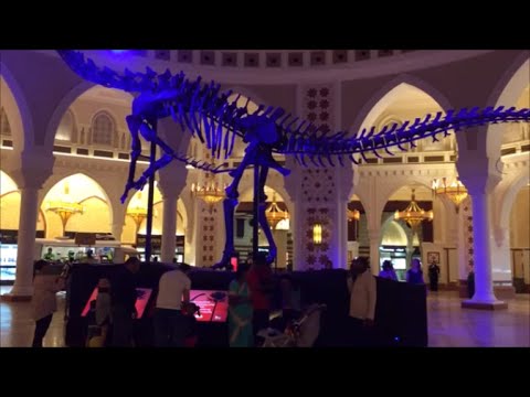 Walking Through The DUBAI MALL , Aquarium - Dubai Rink - The World's Largest Mall