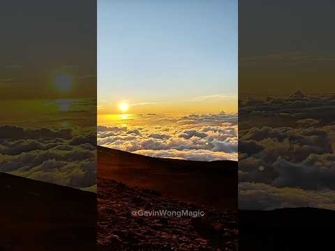 Cardistry above the clouds