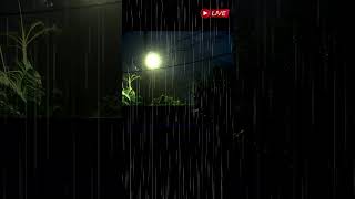 Day (13) Sleep With Rain Sound #heavy #rain #rainsounds #asmr #sleepmusic #tin #healingrain #rainy