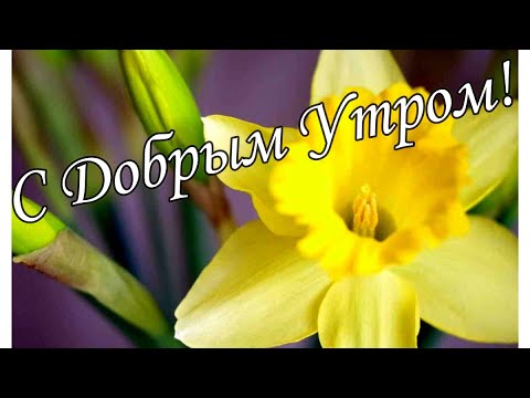 С ДОБРЫМ УТРОМ !🌼Желаю Самого Доброго Солнечного Утра!🌼  Шикарная Музыкальная открытка 🌼