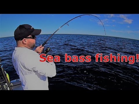 Fishing Steinhatchee for sea bass and trolling for grouper